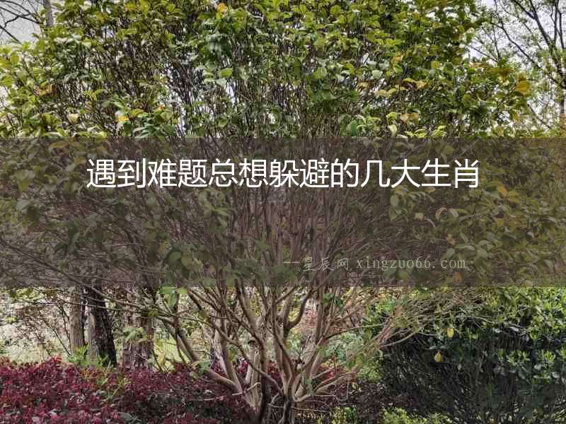 遇到難題總想躲避的幾大生肖