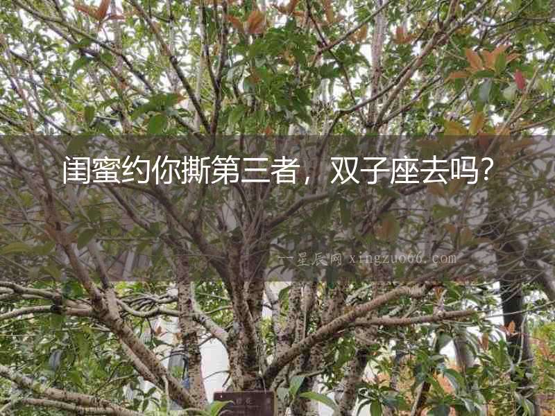 閨蜜約你撕第三者，雙子座去嗎？