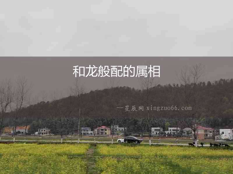 和龍般配的屬相