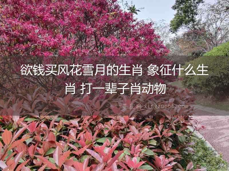 欲錢買風花雪月的生肖 象征什么生肖 打一輩子肖動物