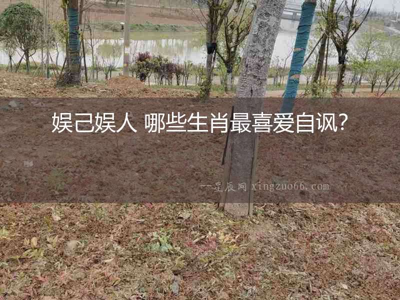 娛己娛人 哪些生肖最喜愛自諷？
