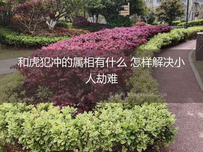 和虎犯沖的屬相有什么 怎樣解決小人劫難