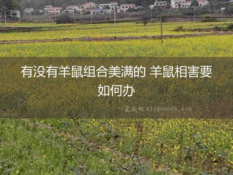 有沒有羊鼠組合美滿的 羊鼠相害要如何辦