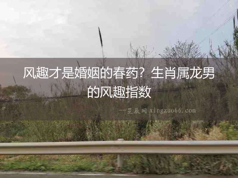 風趣才是婚姻的春藥？生肖屬龍男的風趣指數