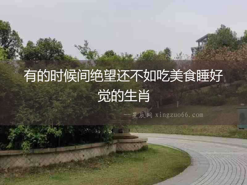 有的時候間絕望還不如吃美食睡好覺的生肖