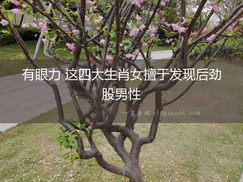 有眼力 這四大生肖女擅于發(fā)現(xiàn)后勁股男性