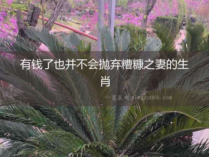 有錢了也并不會拋棄糟糠之妻的生肖
