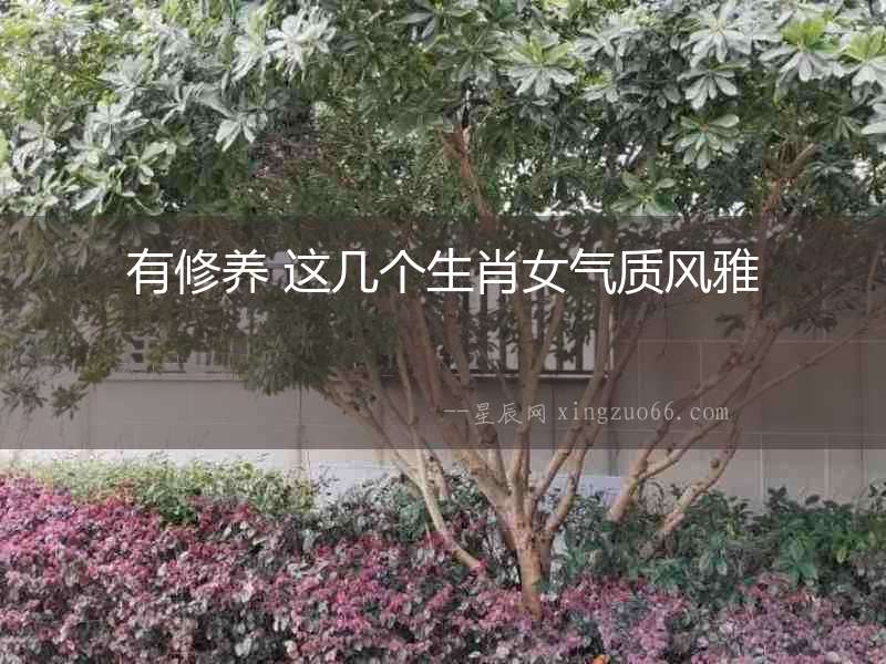 有修養(yǎng) 這幾個生肖女氣質(zhì)風(fēng)雅