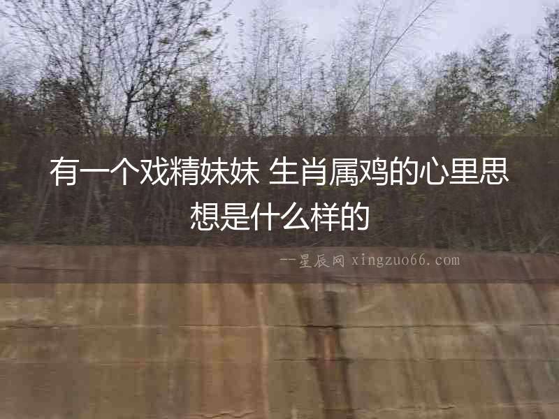 有一個戲精妹妹 生肖屬雞的心里思想是什么樣的