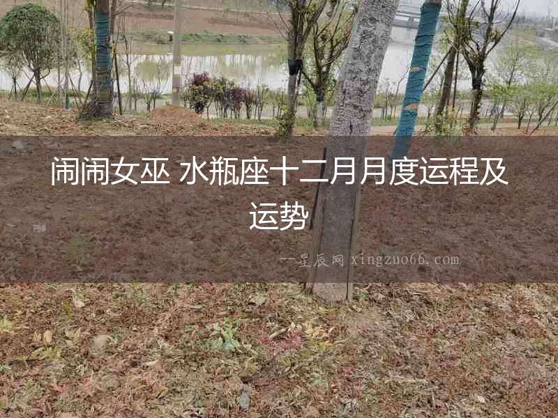 鬧鬧女巫 水瓶座十二月月度運(yùn)程及運(yùn)勢(shì)