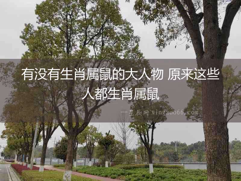 有沒有生肖屬鼠的大人物 原來這些人都生肖屬鼠