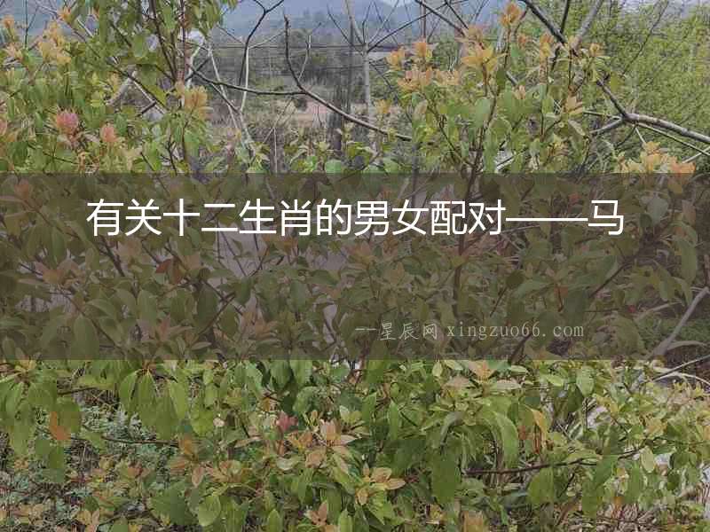 有關十二生肖的男女配對——馬