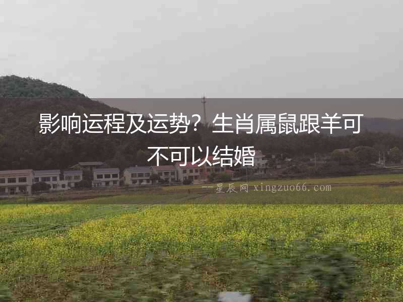 影響運程及運勢？生肖屬鼠跟羊可不可以結婚