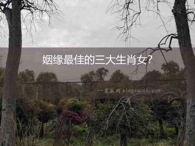 姻緣最佳的三大生肖女？