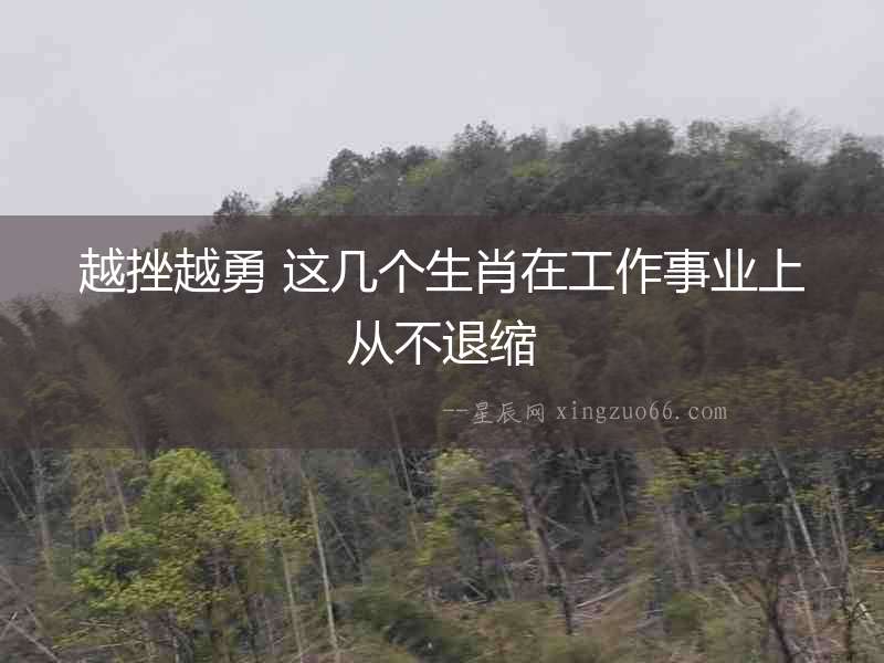 越挫越勇 這幾個生肖在工作事業上從不退縮