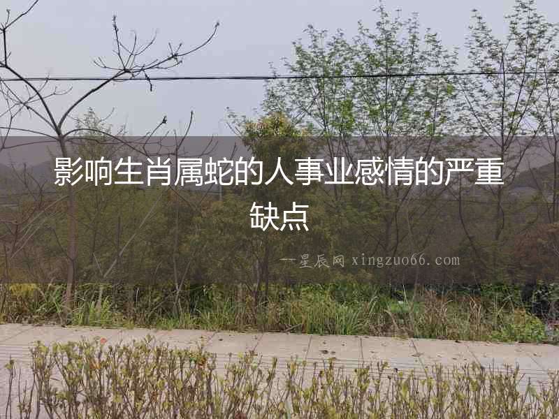 影響生肖屬蛇的人事業感情的嚴重缺點