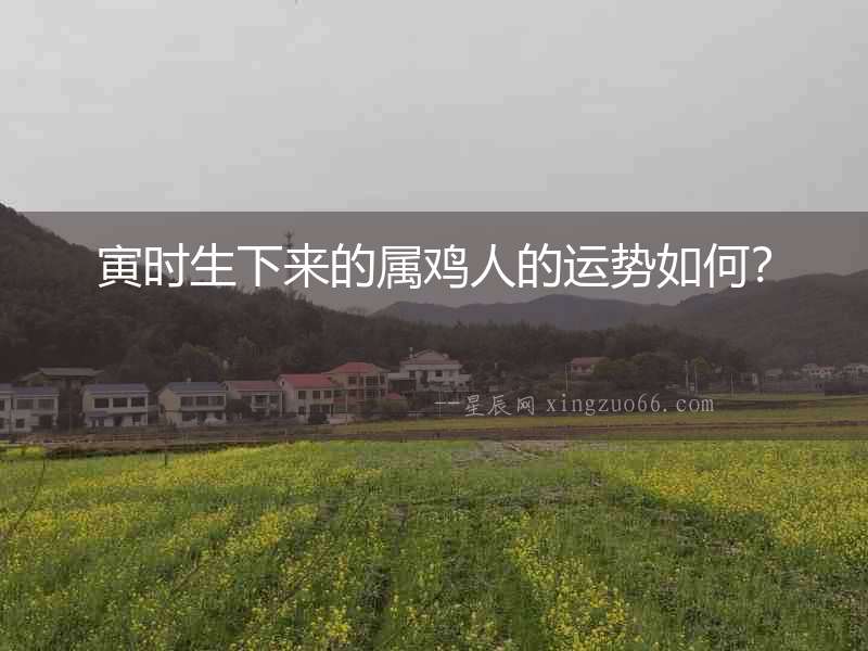 寅時生下來的屬雞人的運勢如何？