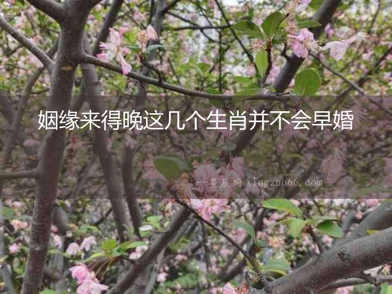 姻緣來得晚這幾個生肖并不會早婚