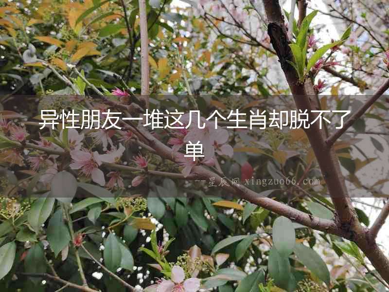 異性朋友一堆這幾個生肖卻脫不了單
