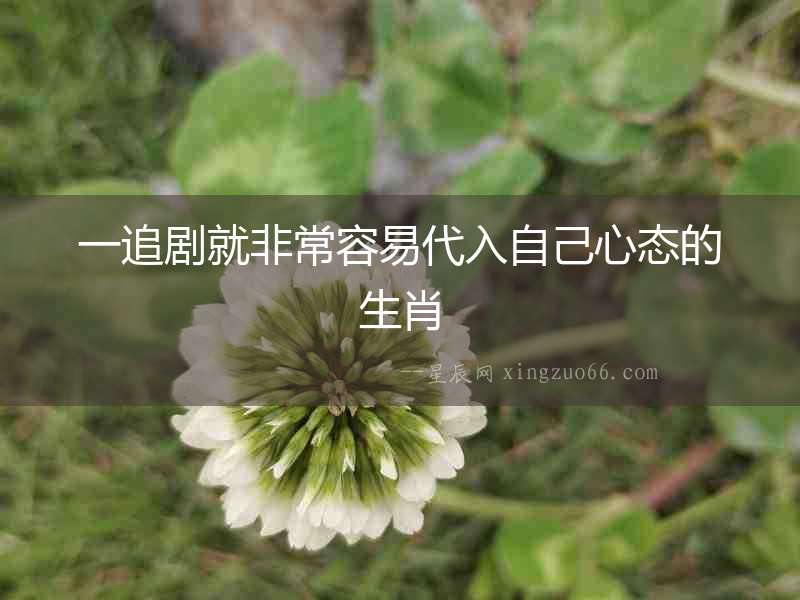 一追劇就非常容易代入自己心態的生肖