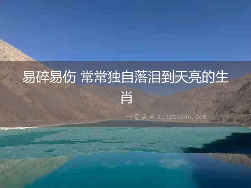 易碎易傷 常常獨自落淚到天亮的生肖