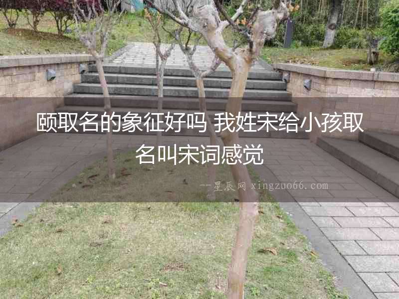 頤取名的象征好嗎 我姓宋給小孩取名叫宋詞感覺