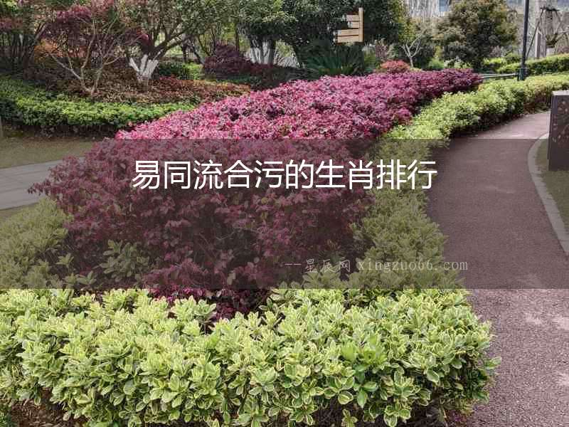 易同流合污的生肖排行