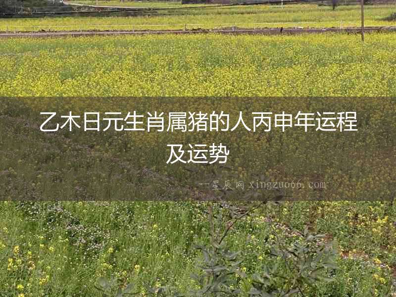 乙木日元生肖屬豬的人丙申年運程及運勢