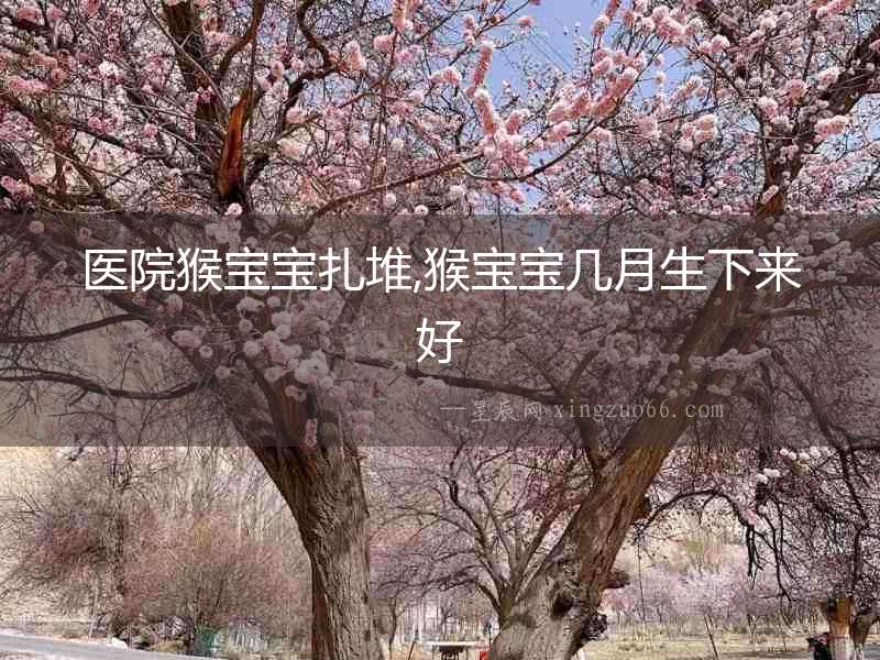 醫院猴寶寶扎堆,猴寶寶幾月生下來好