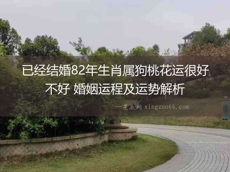 已經結婚82年生肖屬狗桃花運很好不好 婚姻運程及運勢解析