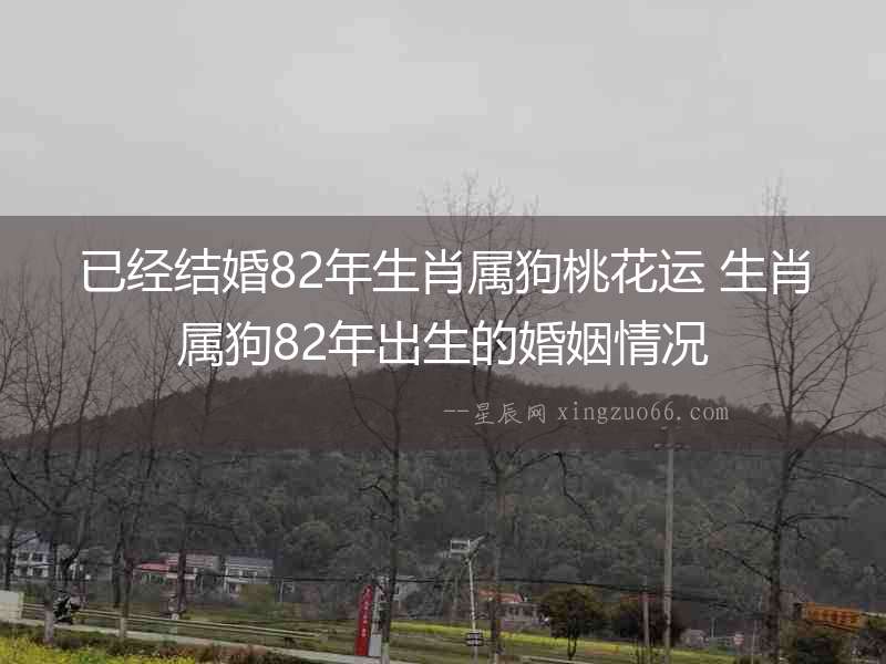 已經結婚82年生肖屬狗桃花運 生肖屬狗82年出生的婚姻情況