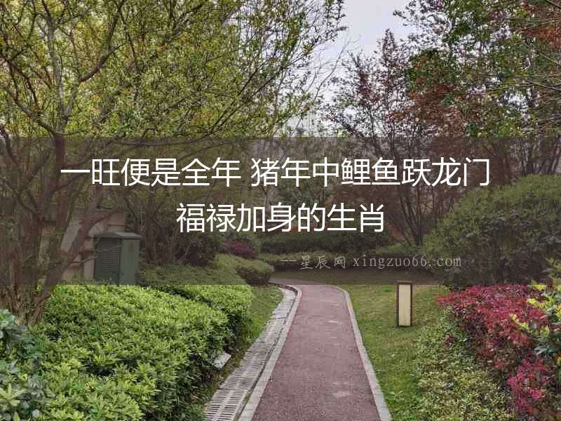 一旺便是全年 豬年中鯉魚躍龍門 福祿加身的生肖