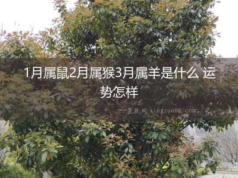 1月屬鼠2月屬猴3月屬羊是什么 運勢怎樣