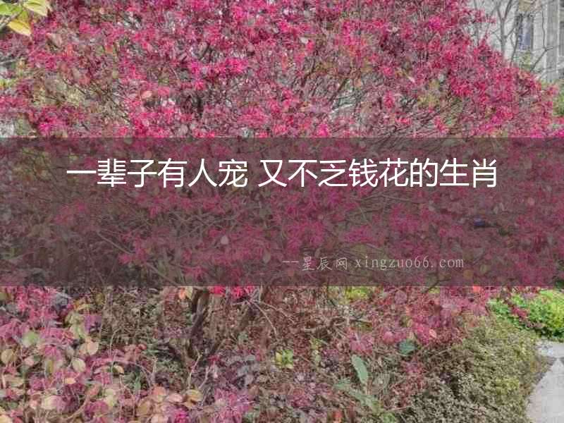 一輩子有人寵 又不乏錢花的生肖