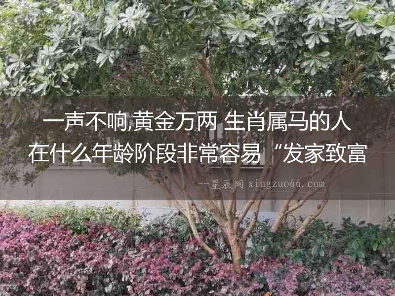 一聲不響,黃金萬兩 生肖屬馬的人在什么年齡階段非常容易“發家致富”
