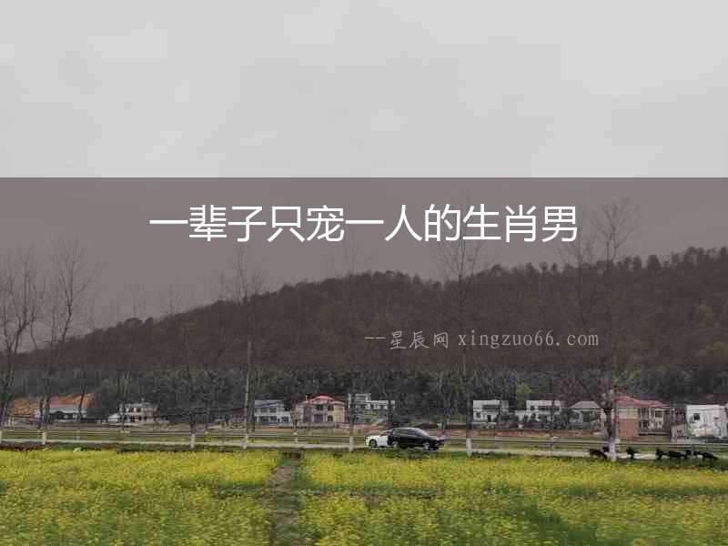 一輩子只寵一人的生肖男