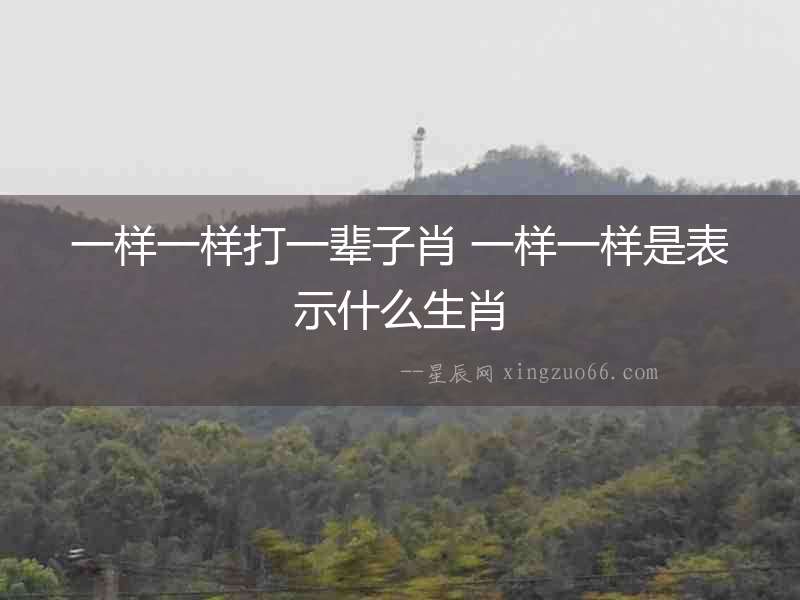 一樣一樣打一輩子肖 一樣一樣是表示什么生肖