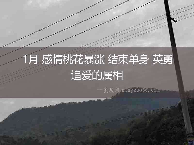 1月 感情桃花暴漲 結束單身 英勇追愛的屬相