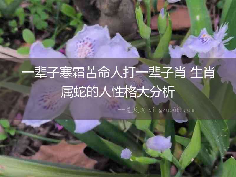 一輩子寒霜苦命人打一輩子肖 生肖屬蛇的人性格大分析