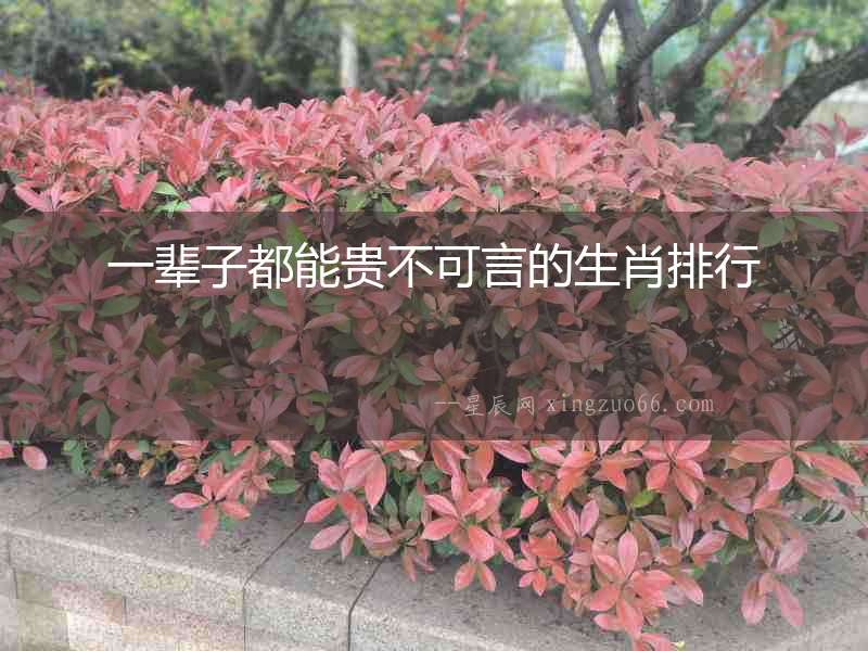 一輩子都能貴不可言的生肖排行