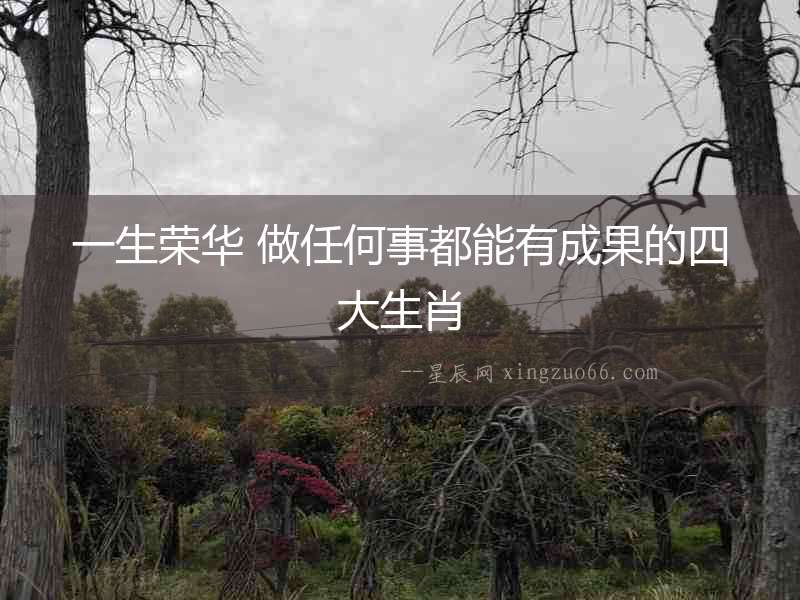 一生榮華 做任何事都能有成果的四大生肖