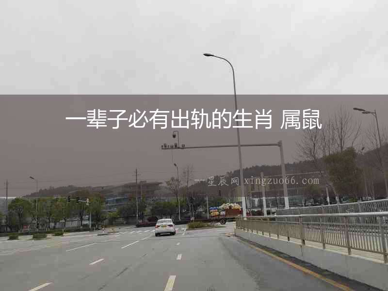 一輩子必有出軌的生肖 屬鼠