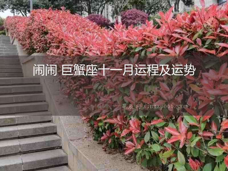 鬧鬧 巨蟹座十一月運程及運勢