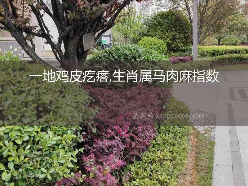 一地雞皮疙瘩,生肖屬馬肉麻指數