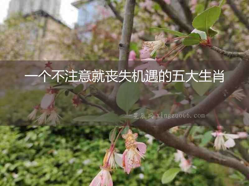 一個不注意就喪失機遇的五大生肖