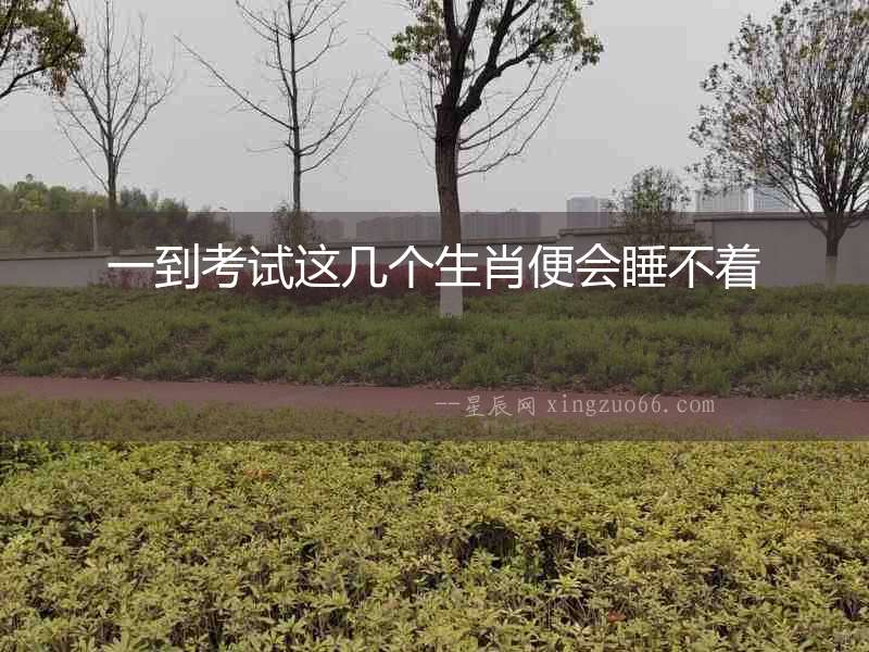 一到考試這幾個生肖便會睡不著