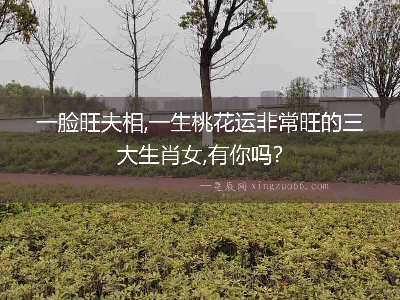 一臉旺夫相,一生桃花運非常旺的三大生肖女,有你嗎？