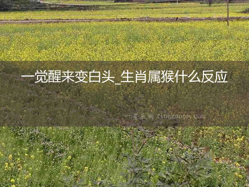 一覺醒來變白頭_生肖屬猴什么反應