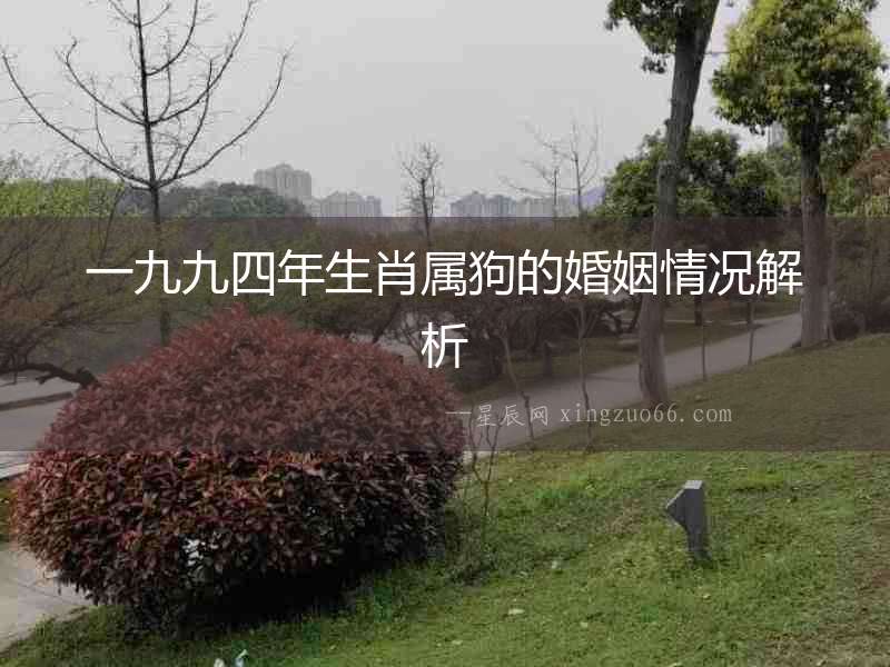 一九九四年生肖屬狗的婚姻情況解析