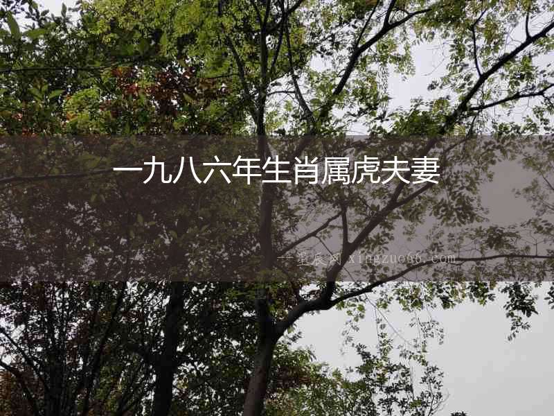 一九八六年生肖屬虎夫妻